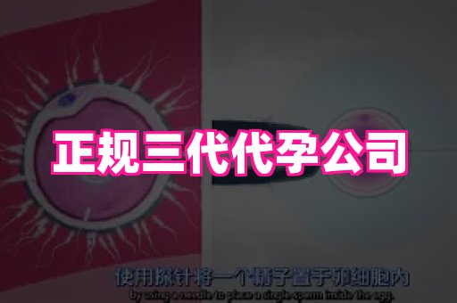 长沙助孕网站 1