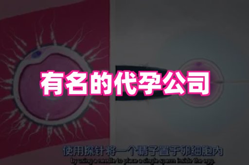 长沙助孕网站 2